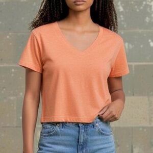 (NWT) Wild Fable Women’s Dark Orange Cropped Tee. Small